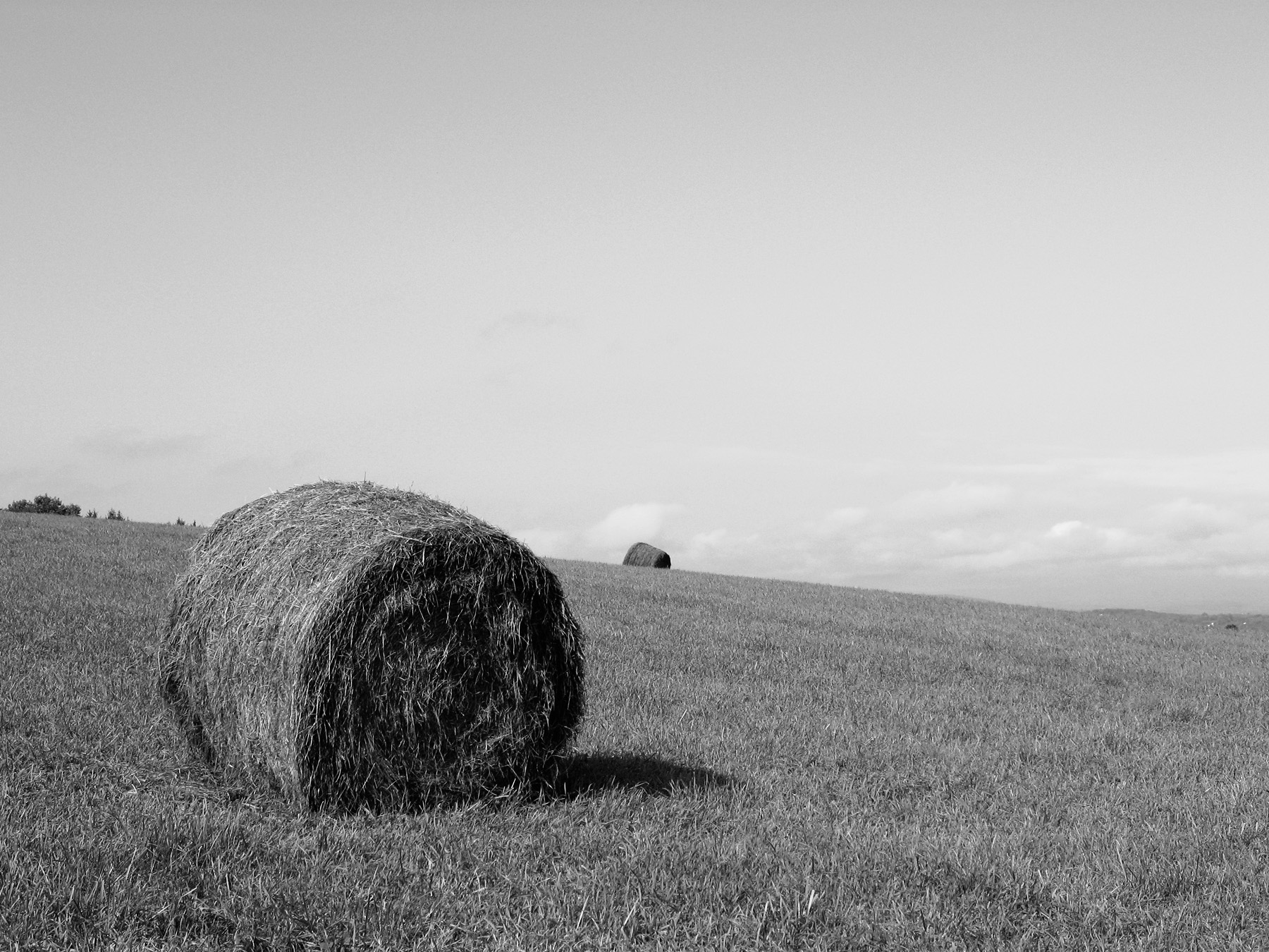 Hay Bale